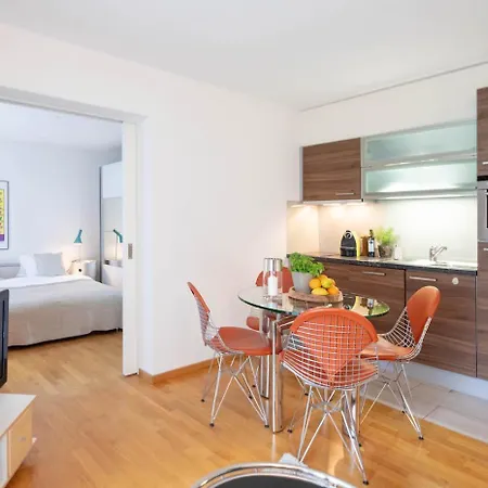 Apartman Rotachstrasse 17 In Wiedikon By Aas Service