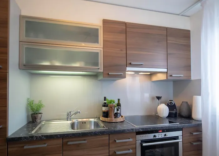 Apartman Rotachstrasse 17 In Wiedikon By Aas Service *